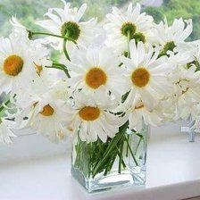 Cross stitch pattern: #348506
