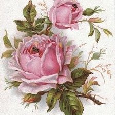 Cross stitch pattern: #349089