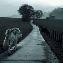 Cross stitch pattern: #349861