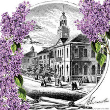 Cross stitch pattern: #350042