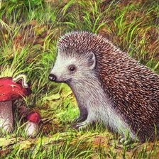 Cross stitch pattern: #350071