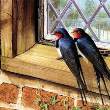 Cross stitch pattern: #350085