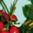 Preview of cross stitch pattern: #350448