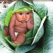 Cross stitch pattern: #350663