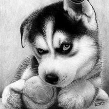 Cross stitch pattern: #350818