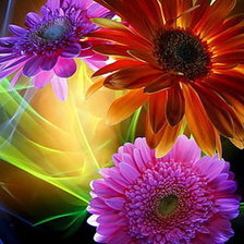 Cross stitch pattern: #350821