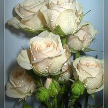 Cross stitch pattern: #350829