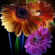 Cross stitch pattern: #350840
