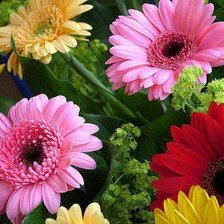 Cross stitch pattern: #350841