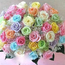 Cross stitch pattern: #350848