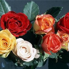 Cross stitch pattern: #350849