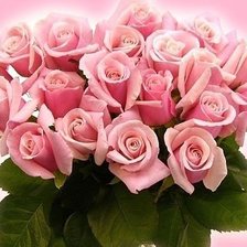 Cross stitch pattern: #350855
