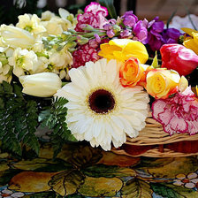 Cross stitch pattern: #350880