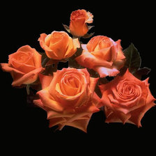 Cross stitch pattern: #350886