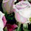 Preview of cross stitch pattern: #350890