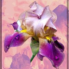 Cross stitch pattern: #351983