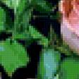 Preview of cross stitch pattern: #351985