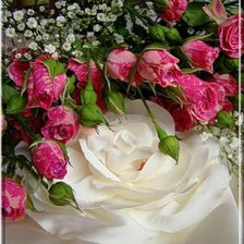 Cross stitch pattern: #351997