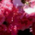 Preview of cross stitch pattern: #352375