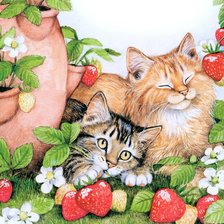 Cross stitch pattern: #353060