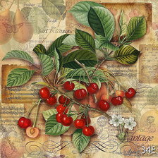 Cross stitch pattern: #353072