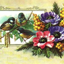 Cross stitch pattern: #353559