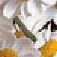 Preview of cross stitch pattern: #353688