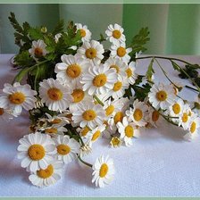 Cross stitch pattern: #353688