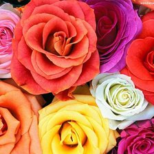 Cross stitch pattern: #353692