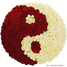Cross stitch pattern: #353698