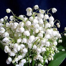 Cross stitch pattern: #353814