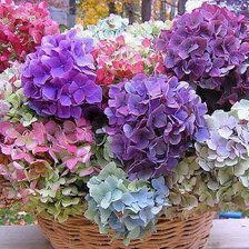 Cross stitch pattern: #353817