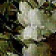 Preview of cross stitch pattern: #353818