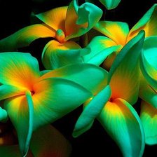 Cross stitch pattern: #353830
