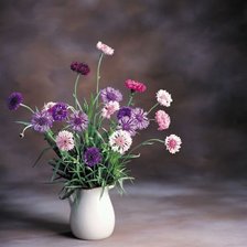 Cross stitch pattern: #353833