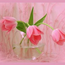 Cross stitch pattern: #353837