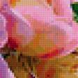 Preview of cross stitch pattern: #353838