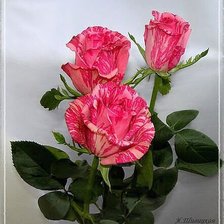 Cross stitch pattern: #353840