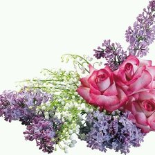 Cross stitch pattern: #353842
