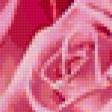 Preview of cross stitch pattern: #353843