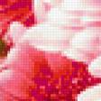 Preview of cross stitch pattern: #353846