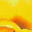 Preview of cross stitch pattern: #353853
