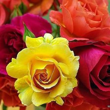 Cross stitch pattern: #353853