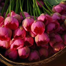 Cross stitch pattern: #353855