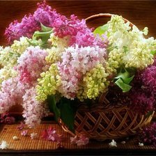 Cross stitch pattern: #353856