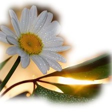 Cross stitch pattern: #353871