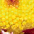 Preview of cross stitch pattern: #353877