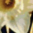 Preview of cross stitch pattern: #353879