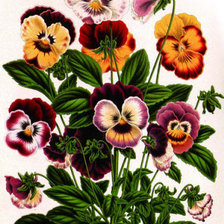 Cross stitch pattern: #353942