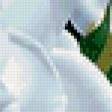 Preview of cross stitch pattern: #353976
